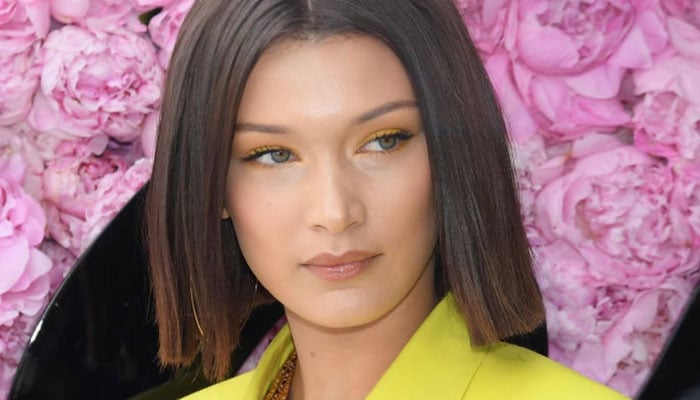 Bella Hadid claims Instagram disabled her Palestine-based posts on platform