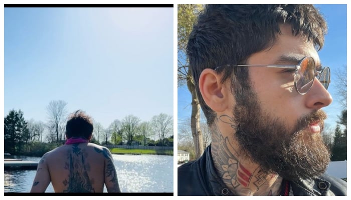 Zayn Malik flaunts his well-toned muscles in latest photo