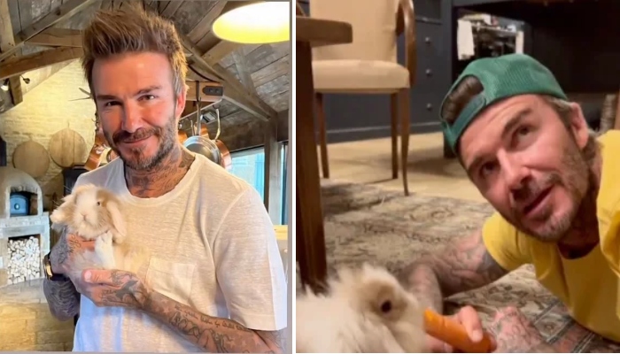 David Beckham wishes 'Happy Easter' with Harpers Coco bunny in adorable video