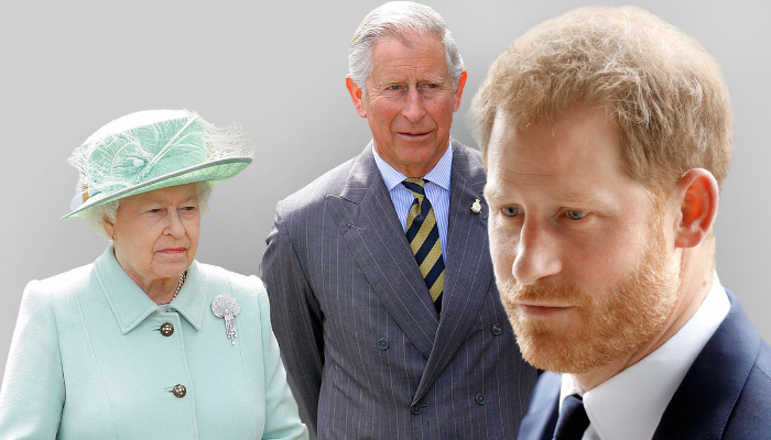 Prince Harry is reportedly the one who contacted Prince Charles to arrange his secret meeting with the Queen