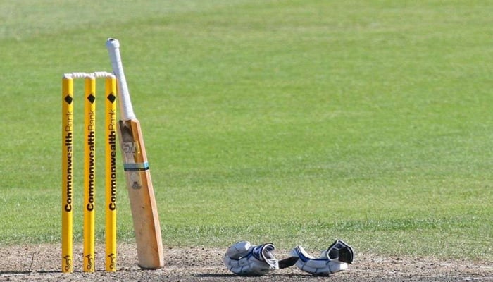 A representational image of a bat placed near the stumps in a cricket ground. — Online/File