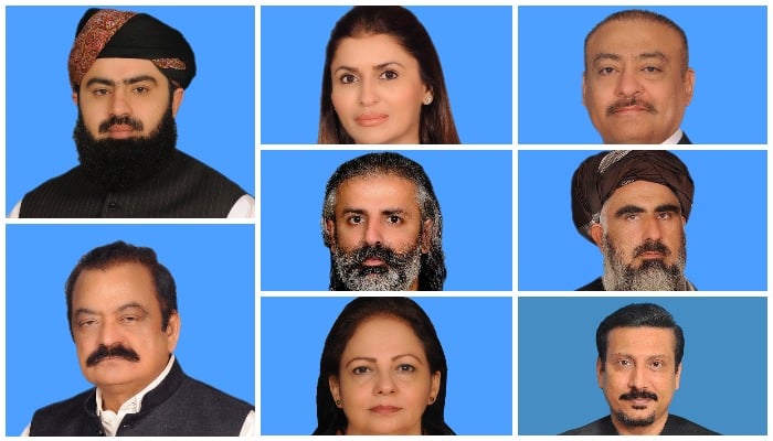 (Column-wise) Asad Mehmood, Rana Sanaullah, Shazia Marri, Shahzain Bugti, Aisha Ghaus Pasha, Abdul Qadir Patel,Mufti Abdus Shakoor and Faisal Sabzwari. — NA of Pakistan website