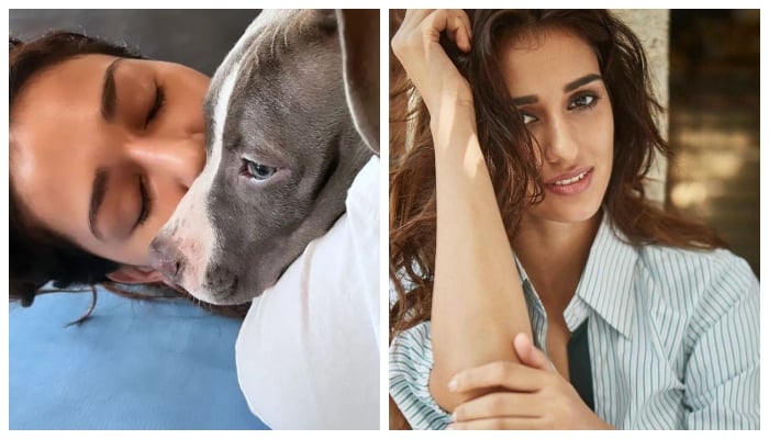 Disha Patani shares photo with her pup and it is the cutest thing you will see today