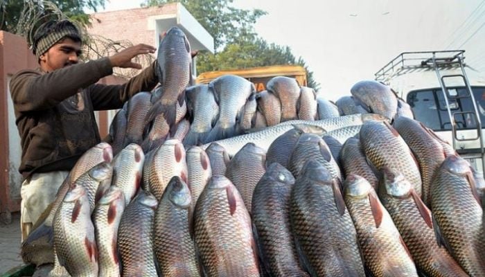 China has imported 13,866 tons of fish meal with value of over US $15.68 million from Pakistan in first two months of this year. — APP
