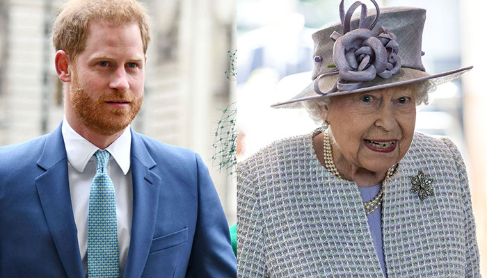 Queen is most in need of safeguarding from Harry himself, says expert