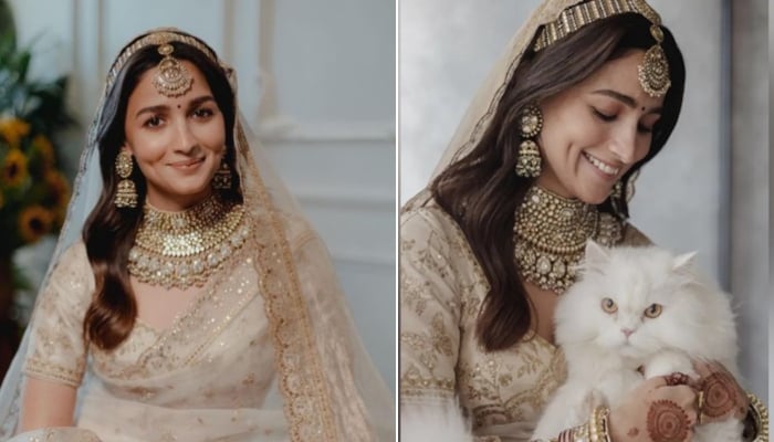 Alia Bhatt oozes regal vibes in new wedding pics with ‘cat of honour’ Edward