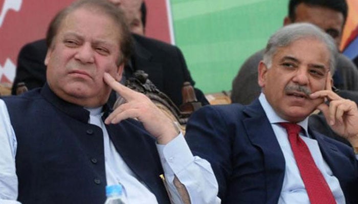 The names of PML-N supremo Nawaz Sharif (left) and Prime Minister Shahbaz Sharif have been removed from ECL. Photo: AFP/file