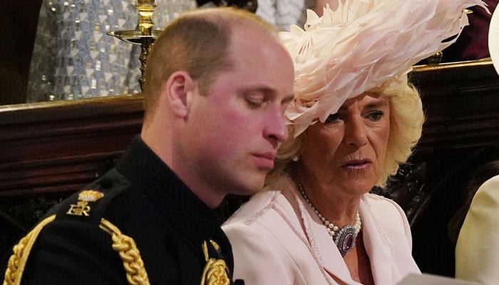 Camilla feels it is her duty to protect Charles by putting William in his place