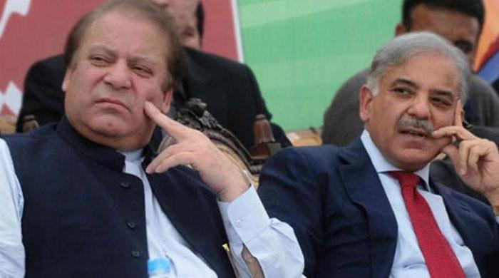 Names of PM Shehbaz, Nawaz removed from no-fly list: sources