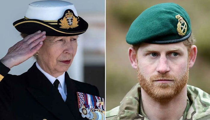 Princess Anne set to take over Prince Harry role as head of Royal Marines