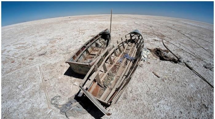 Billion tree tsunami not enough to prevent climate change