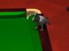 Pigeon disrupts World Championship action at Crucible