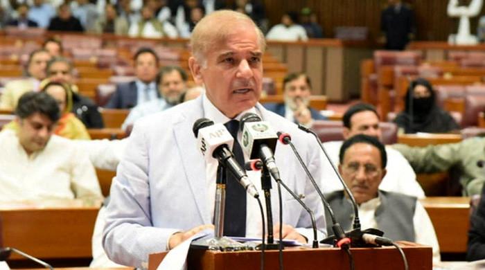 Pakistan cannot afford enmity with US: PM Shehbaz Sharif
