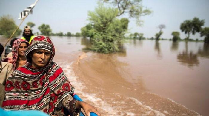 The fight against climate change should transcend politics