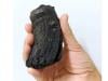 Giant tooth of ancient marine reptile discovered in Alps