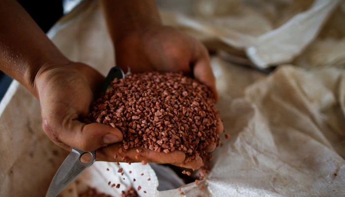 An agricultural worker shows a fertilizer before spreading it in a soybean field, near Brasilia, Brazil February 15, 2022. — Reuters/File