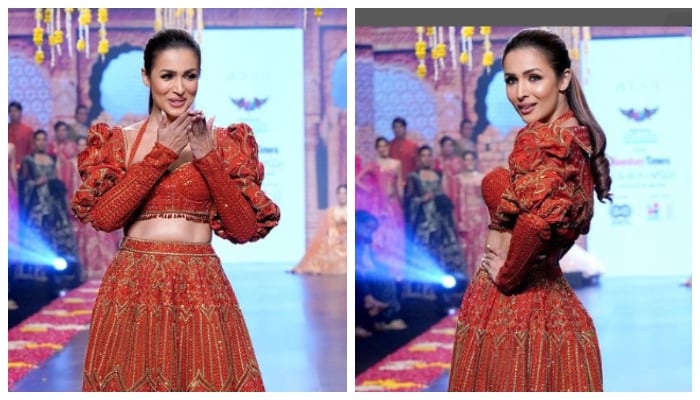 Malaika Arora sets hearts racing with her captivating photos