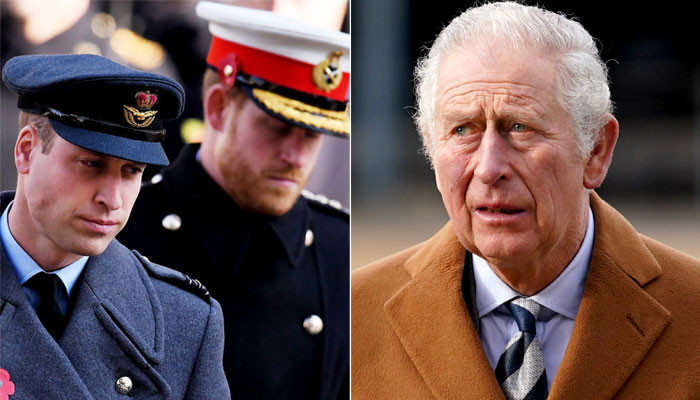 Pangeran Charles merasa Pangeran William, Harry ‘memiliki perubahan suasana hati’ seperti Diana