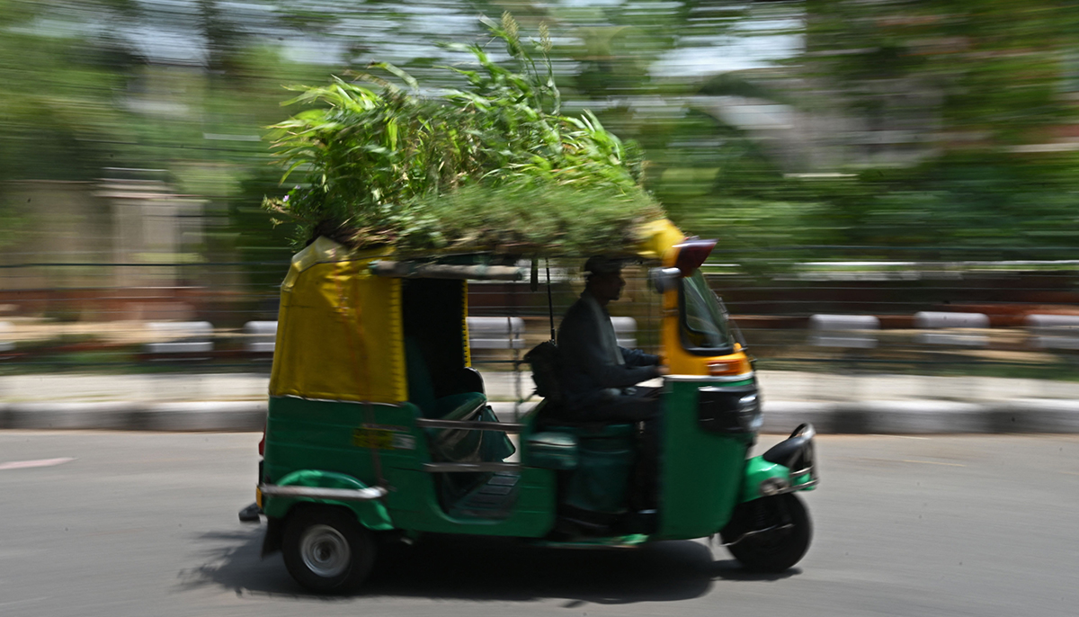 Autorickshaw driver Mahender Kumar drives his vehicle with a garden on its roof, in New Delhi on May 2, 2022. — AFP