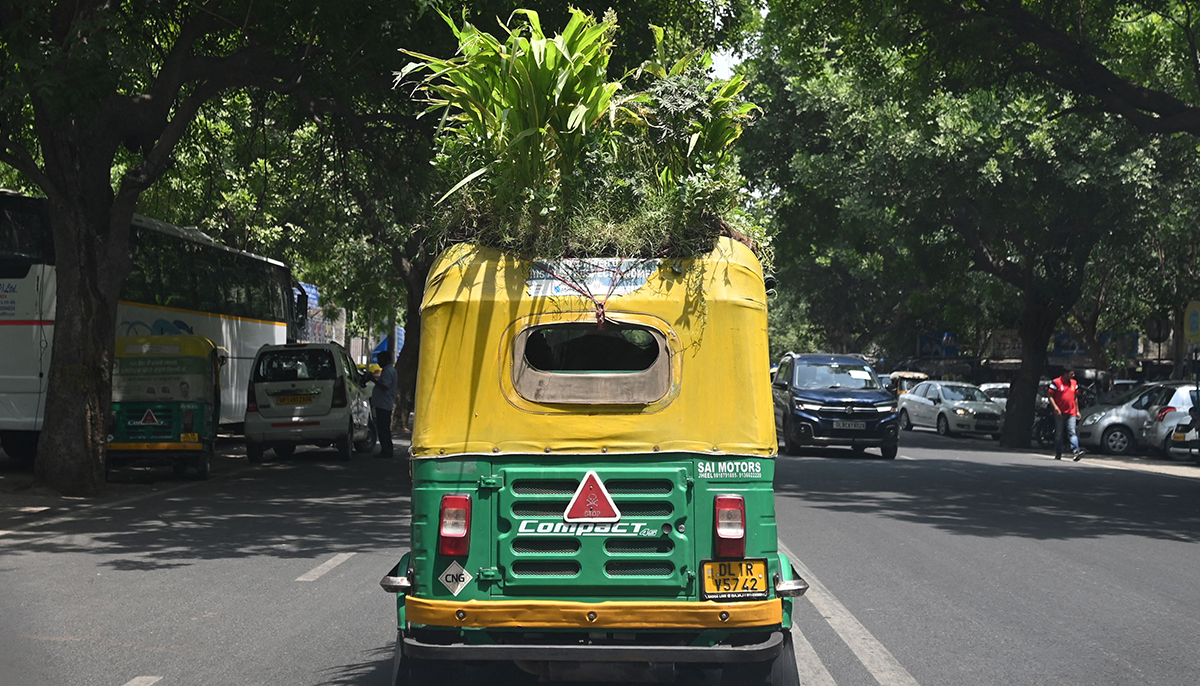 آٹورکشا ڈرائیور مہیندر کمار (تصویر میں نہیں) 2 مئی 2022 کو نئی دہلی میں اپنی گاڑی چھت پر باغ کے ساتھ چلا رہے ہیں۔ — اے ایف پی