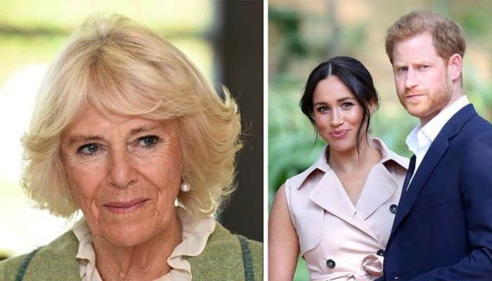 Piers Morgans wife Celia Walden warns Prince Harry to back off Camilla warpath
