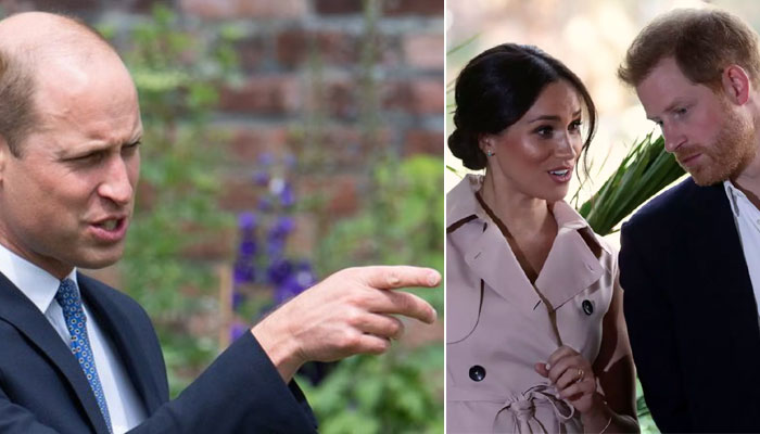 Prince William ‘nauseated’ by Prince Harry, Meghan Markle ‘waltzing back’