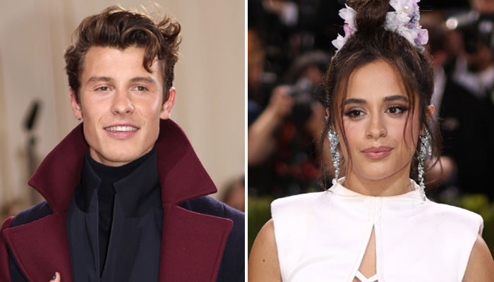 Shawn Mendes, Camila Cabello run in at 2022 Met Gala unearthed: source