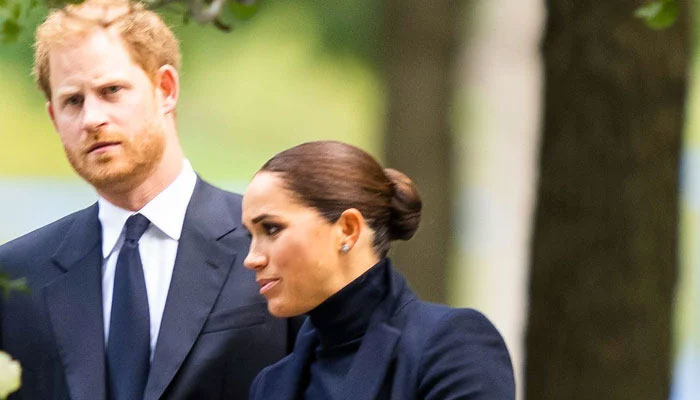 Meghan Markle, Prince Harry ‘under urgent pressure’ to deliver after Pearl axed