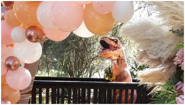 Pengantin wanita merapikan pengantin pria, para tamu dengan berjalan menyusuri lorong dengan kostum T-rex