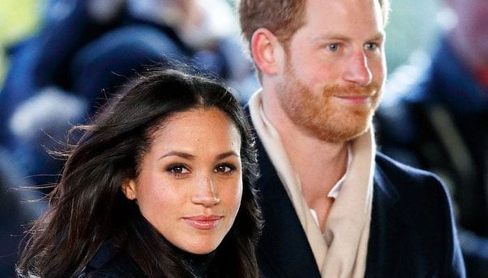 ‘Protective staffers’ to block Prince Harry, Meghan Markle’s Netflix’s cameras