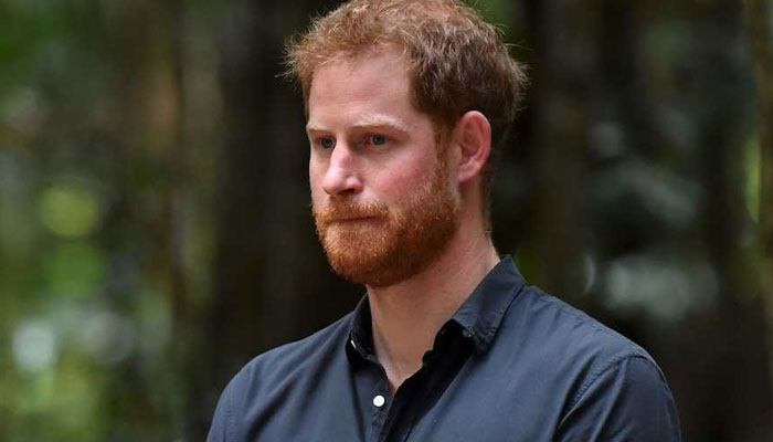 Prince Harry ‘can’t be trusted’ as Netflix wants ‘more secrets out’