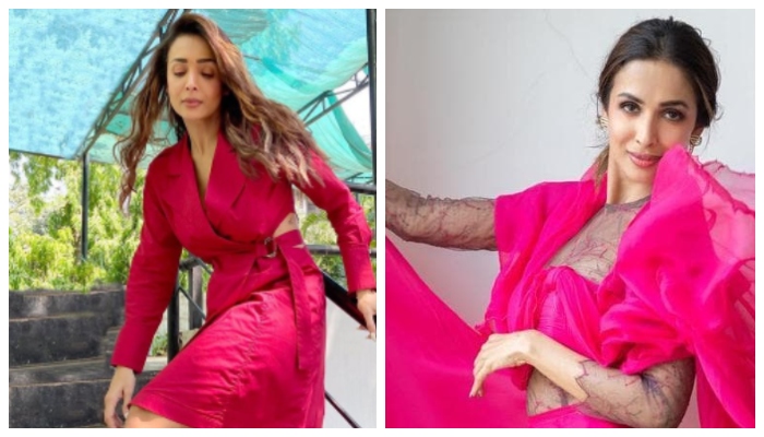 Malaika Arora leaves jaws dropped in cut-out pink minidress