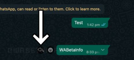 Screengrab provided by WABetainfo.