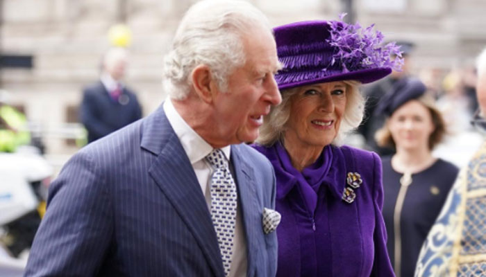 Duchess Camilla honoured with another patronage