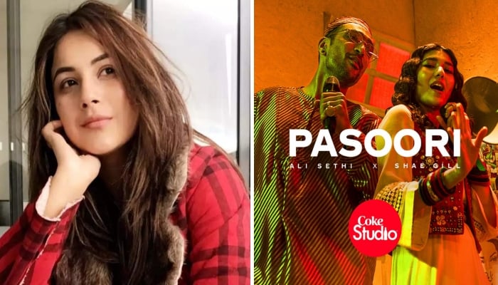 Indian actress Shehnaaz Gill grooves on Pakistani song ‘Pasoori,’ video goes viral