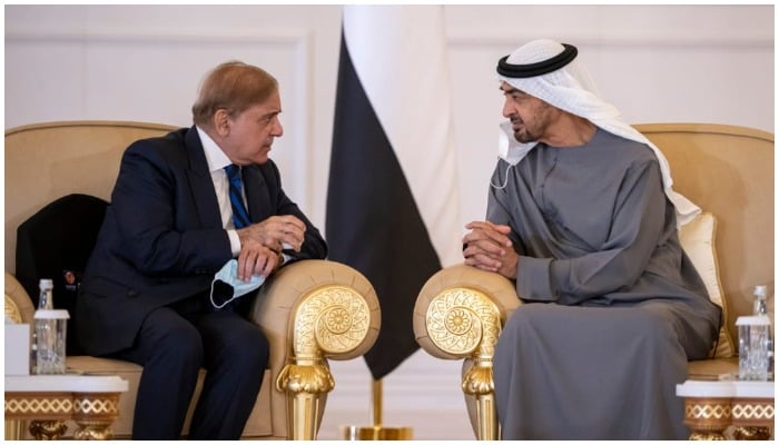 PM Shehbaz Sharif in meeting with Sheikh Mohamed Bin Zayed Al Nahyan