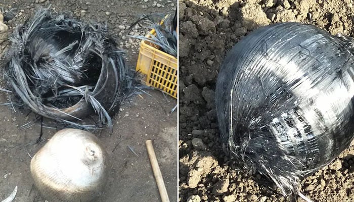 Mysterious metal balls found in India. Photo— Amarendra Srivastava Twitter