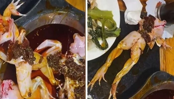 Headless frog hopped out of a pot of hot oil onto the table. — India Times