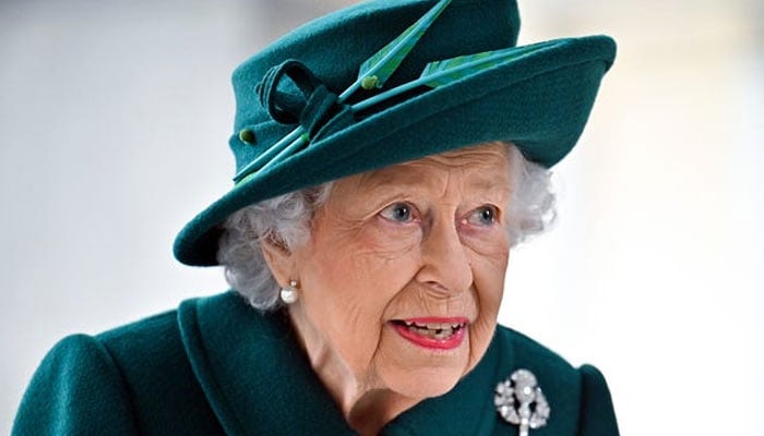 Queen does nothing for Commonwealth, is not fit to be head of nations: Dr Shola