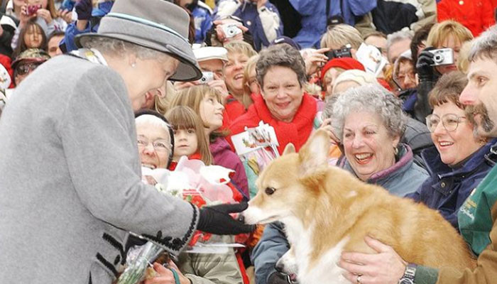 La passion de la reine Elizabeth pour les animaux de compagnie occupe le devant de la scène lors de la Jubilee Parade