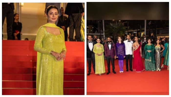 Sarwat Gilani slays spectators in a glittery mint green gown at Cannes red carpet