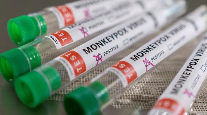 Explainer: How concerned should we be about monkeypox?