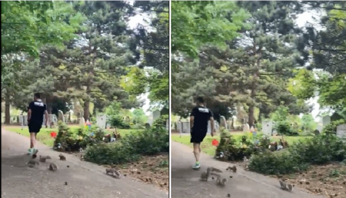Video that shows a man jogging with squirrels has gone viral on social media.—Screengrab via Instagram/@allyc375