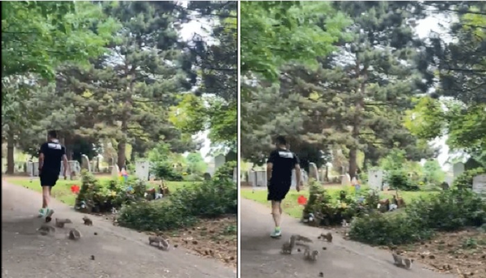 Video that shows a man jogging with squirrels has gone viral on social media.—Screengrab via Instagram/allyc375