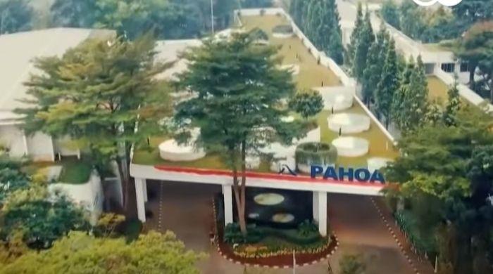 Watch: Indonesian school that can serve as a model for Pakistan