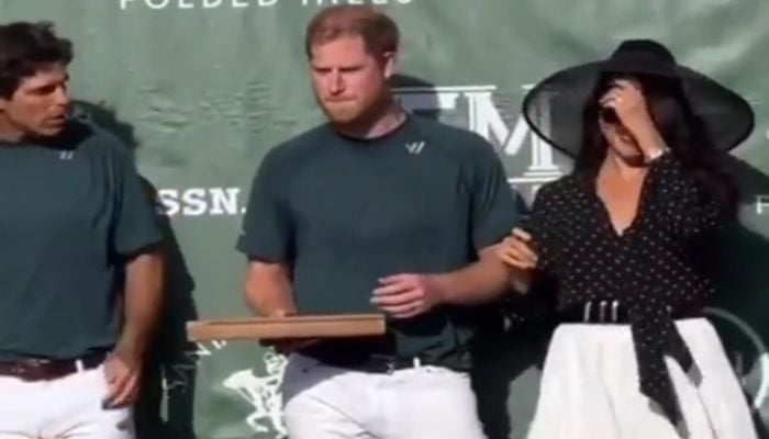 Meghan Markle criticised for wiping Prince Harrys face during public outing