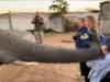 Watch: Elephant slaps girl in her face