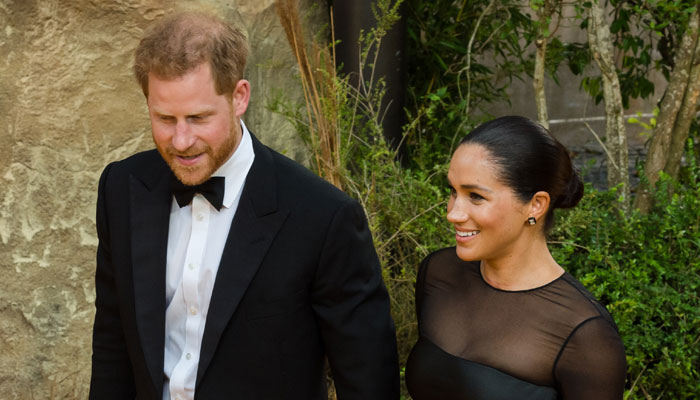 Prince Harry, Meghan Markle accused of playing royals in the US