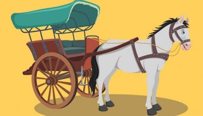 Internet users suggest horse cart as an alternate as people cant afford high price Petrol — Twitter/Islaamabad