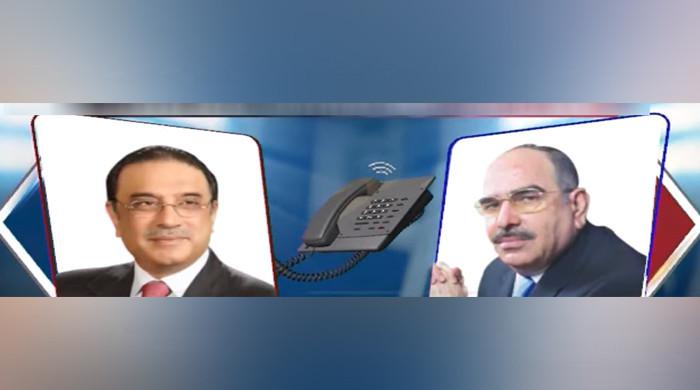 Audio of Malik Riaz's conversation with Asif Zardari on Imran Khan's reconciliation bid leaked